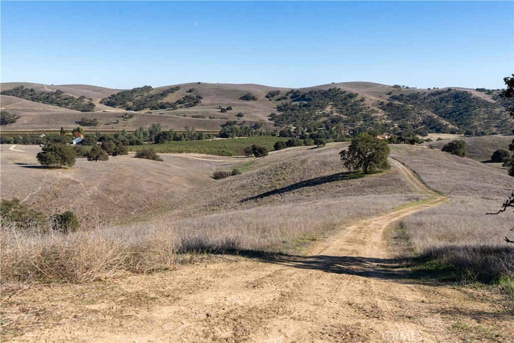 Picture 30