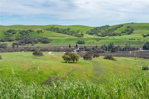 695 Acre Ranch with Airstrip
