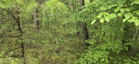 Residential Land in Crossville, TN