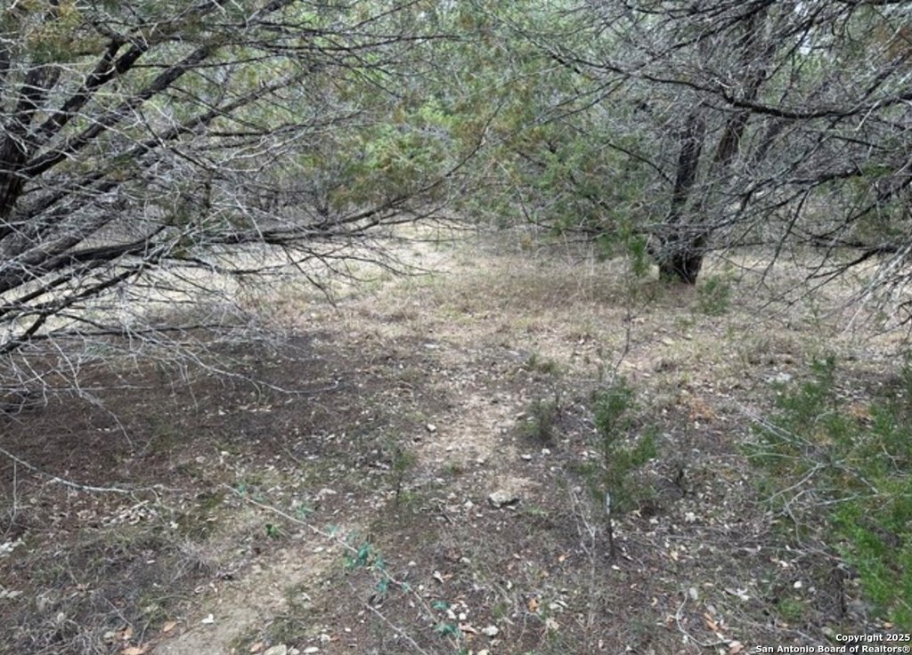 Picture 10