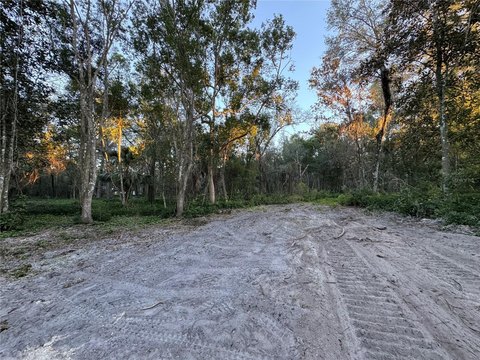 Spacious Land Parcel in Lake Helen