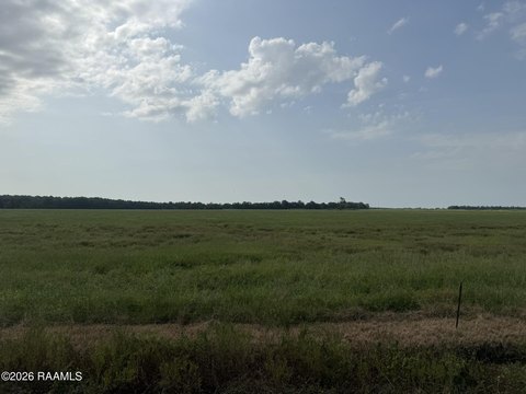 Land, Ville Platte, LA