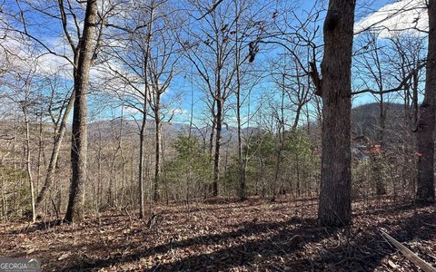 LAND - Hiawassee, GA