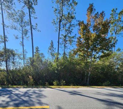 Wooded Lot in Howards Creek