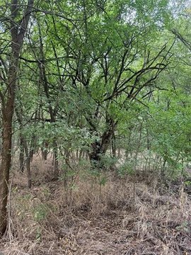 Dougherty, OK Land Opportunity