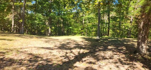 Lakefront Acreage in Camden, TN