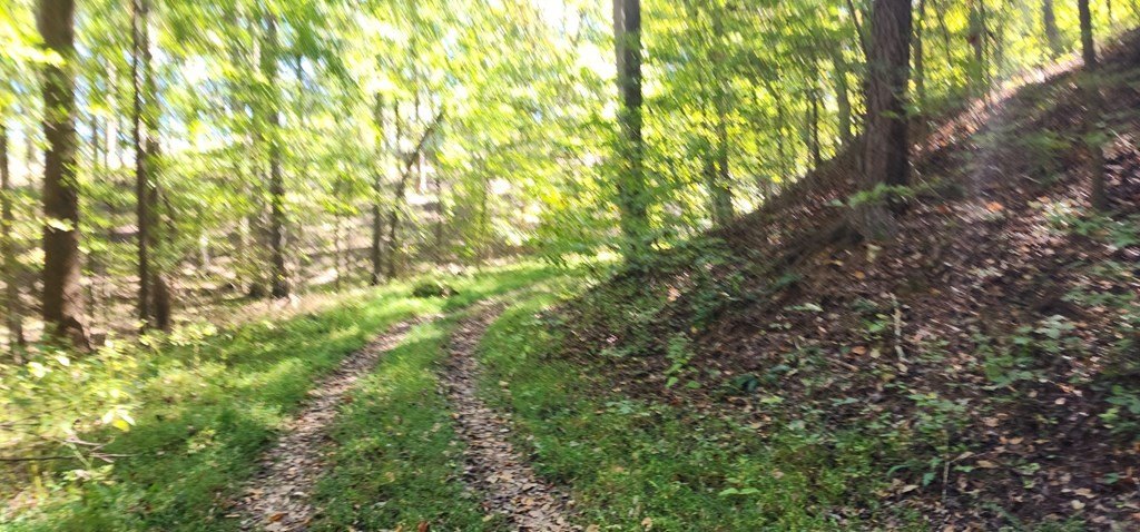 Picture 13