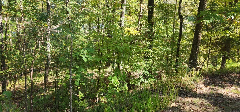 Picture 8