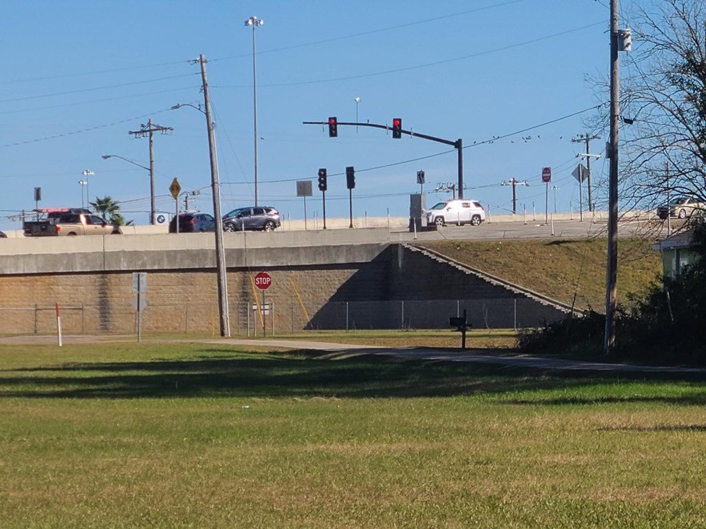 Picture 5