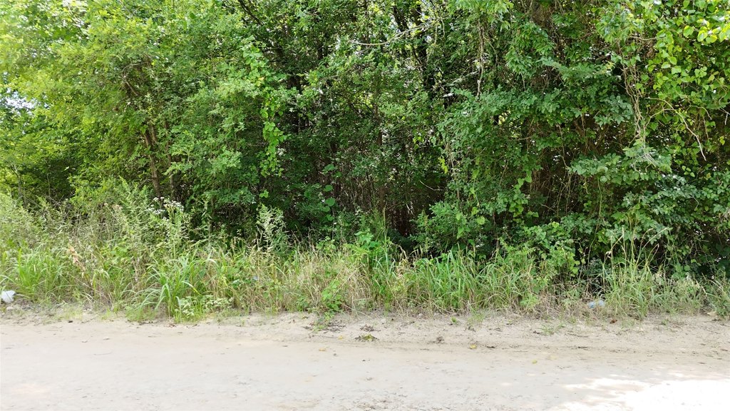 Picture 6