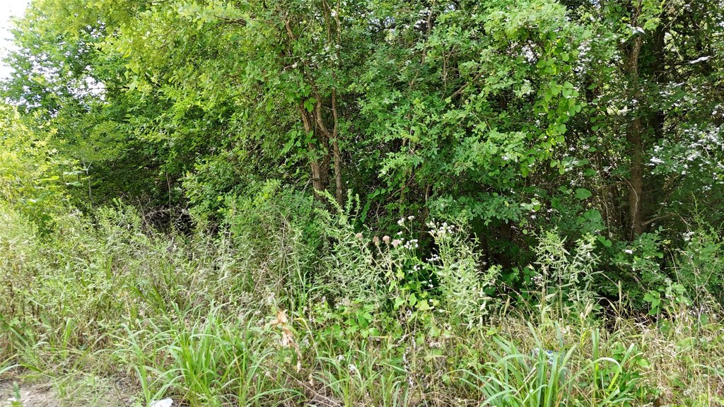 Picture 10