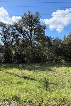 Land, Williston, FL