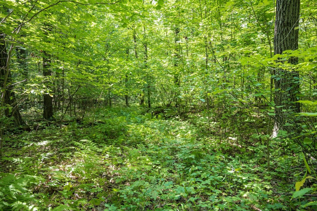 Picture 27