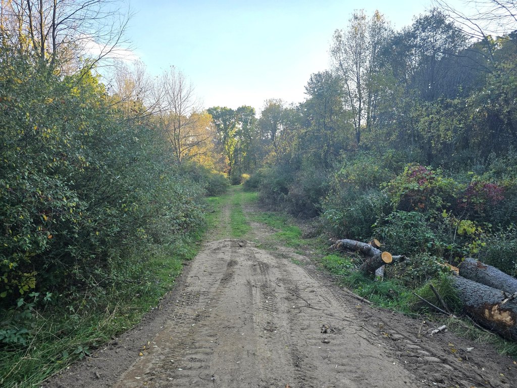 Picture 7