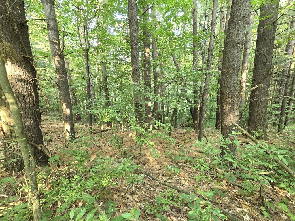 Picture 16