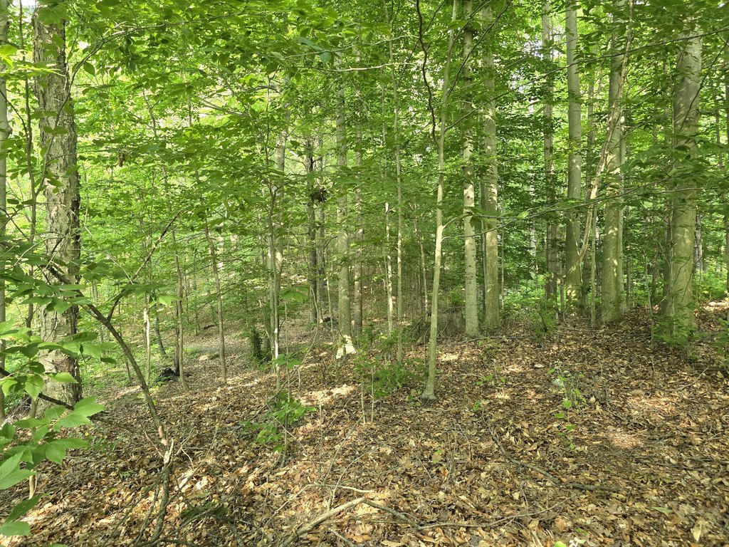 Picture 11