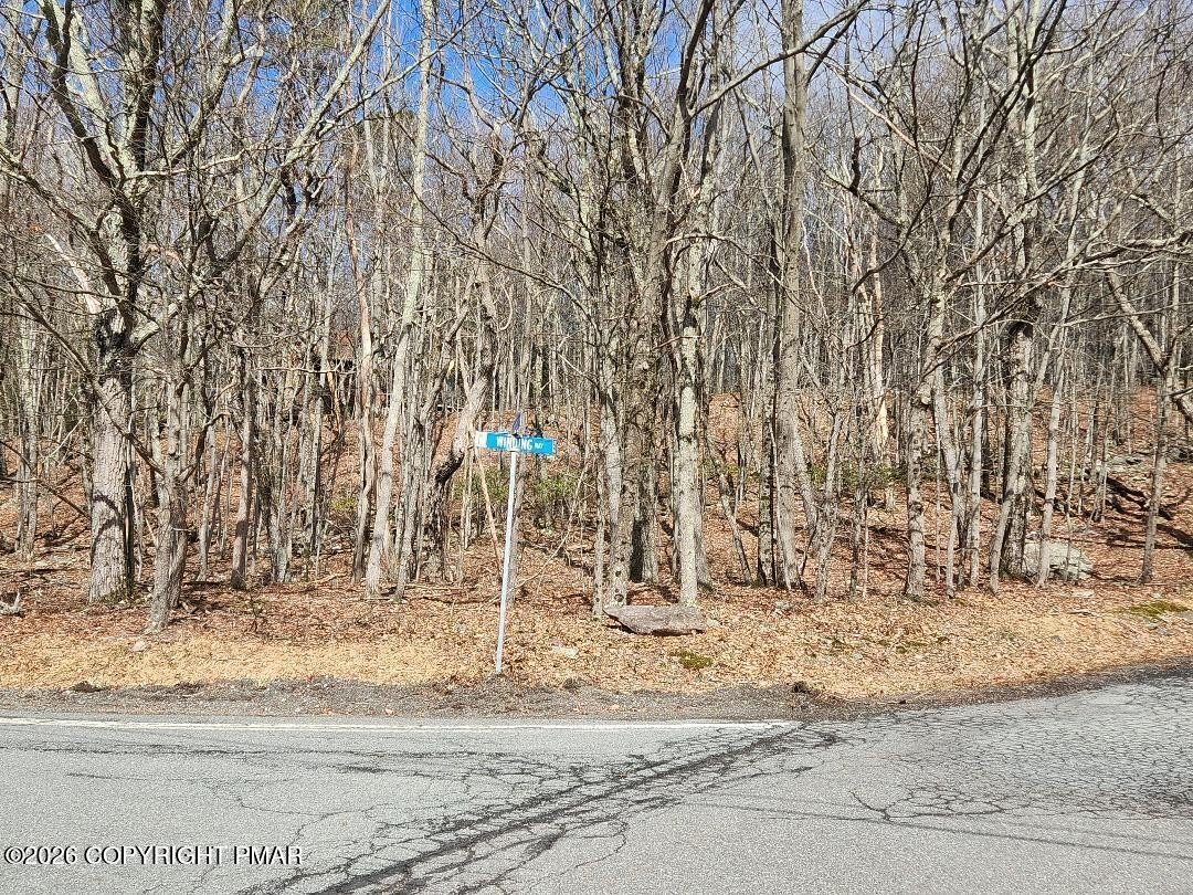 Wooded Lot in the Poconos