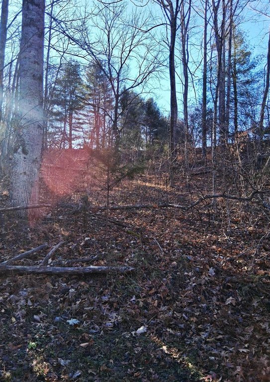 Picture 3