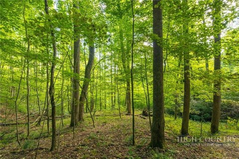 Land, Boone, NC