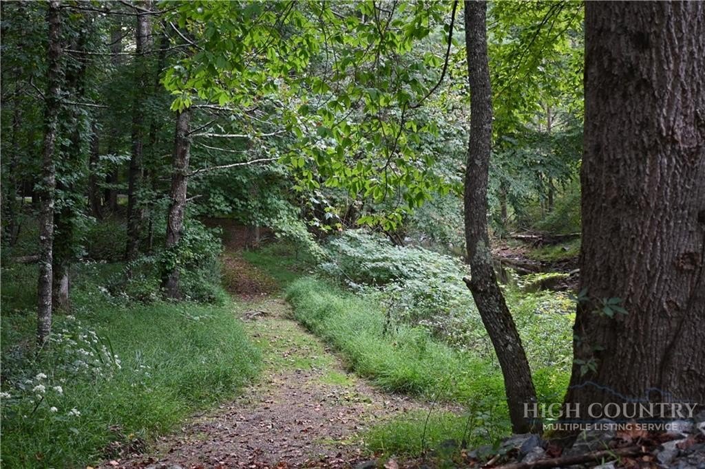 Picture 28