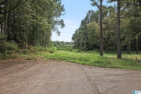 LAND/LOTS, BESSEMER, AL