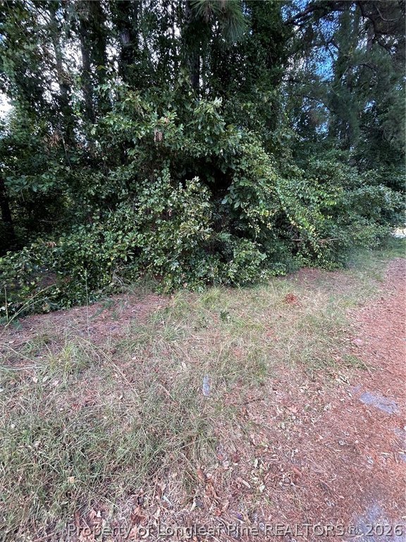 Picture 4