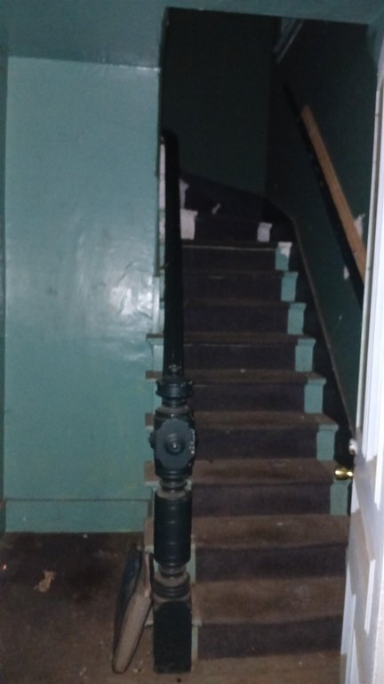 Picture 33