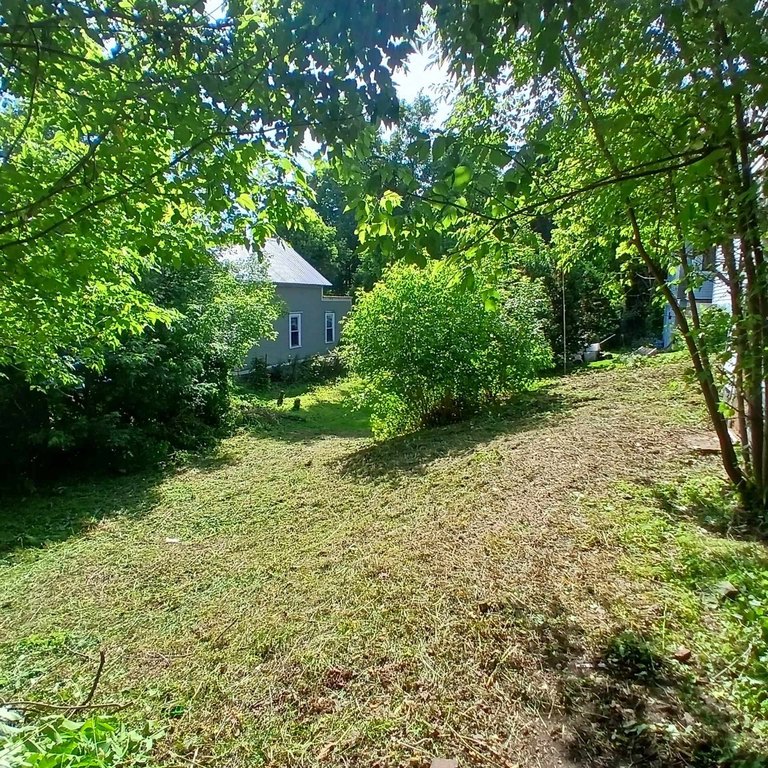 Picture 4