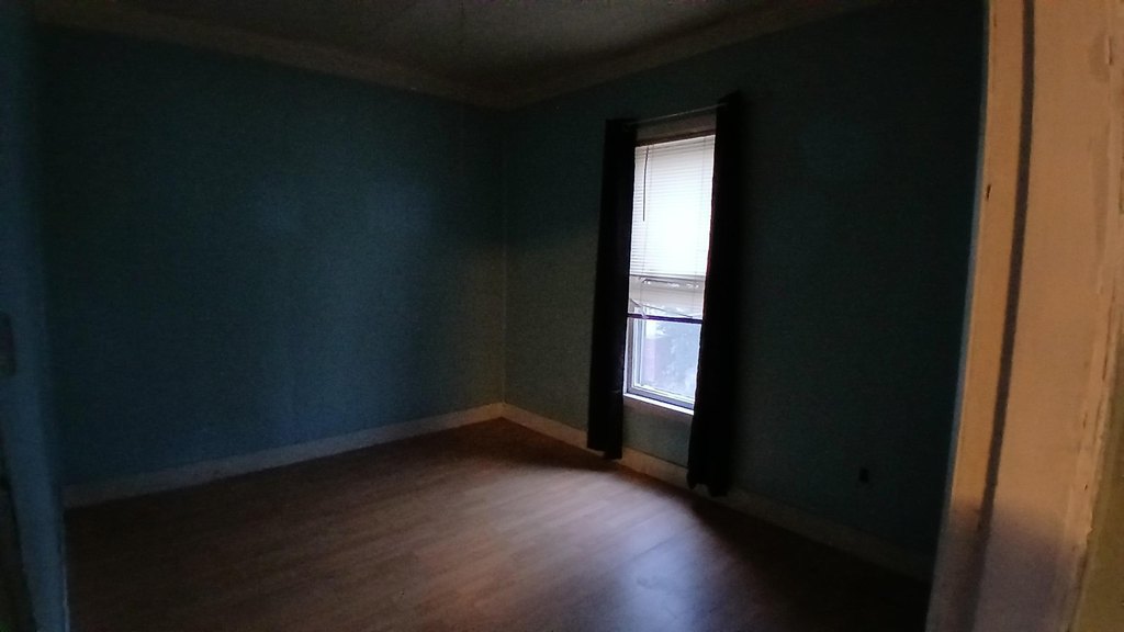 Picture 11