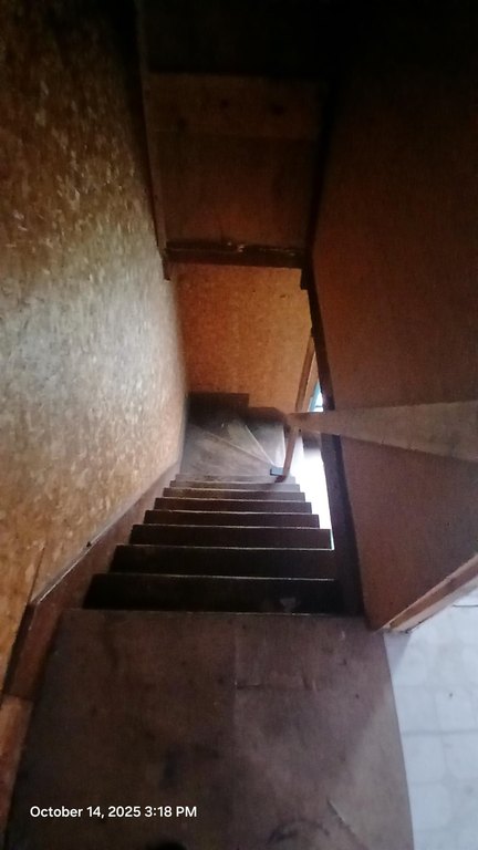 Picture 21