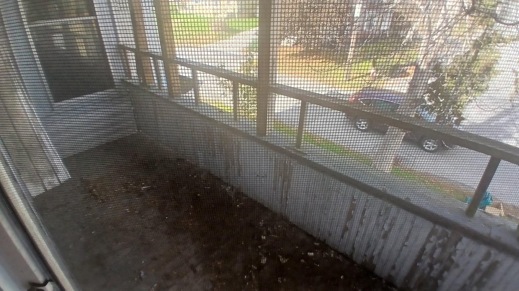 Picture 44