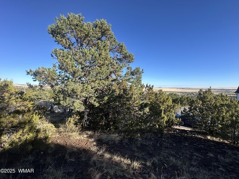 Eagar, AZ Hillside Lot
