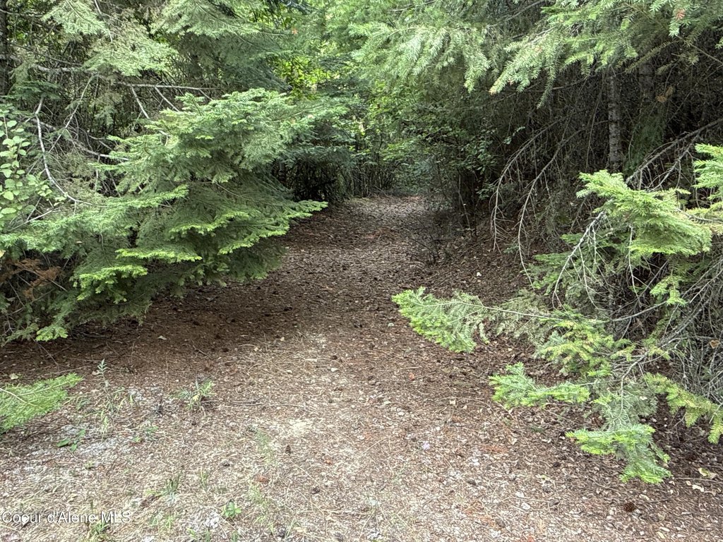 Picture 24