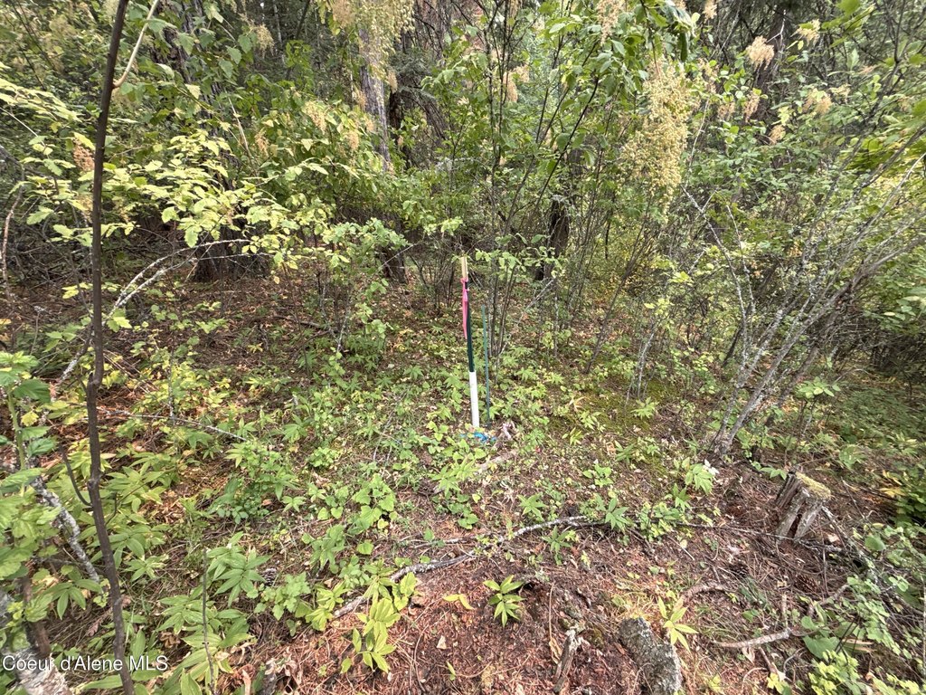 Picture 27