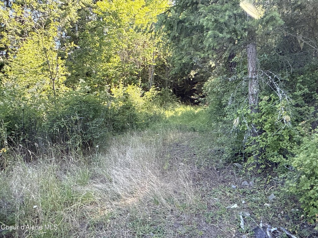 Picture 17