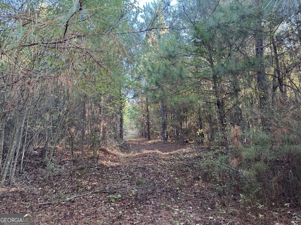 Picture 2