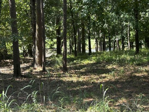 LAND, Greensboro, GA