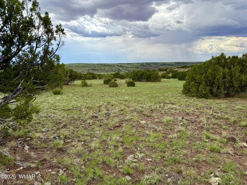 Recreational Land Homesite