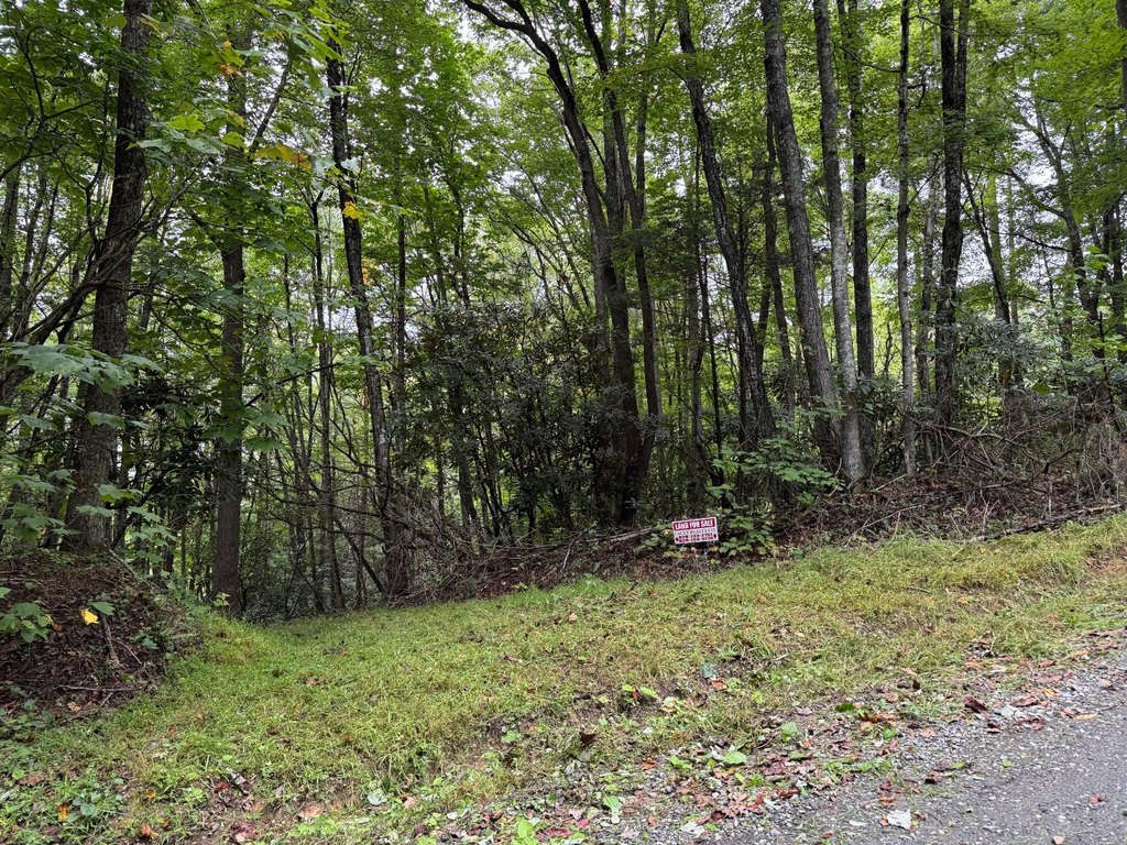 Picture 3