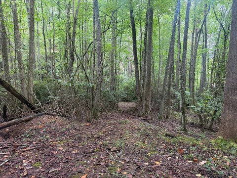 Land, Elk Park, NC