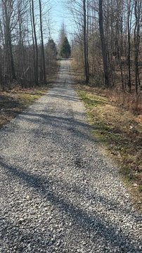 29.5 Acres on Girl Scout Road