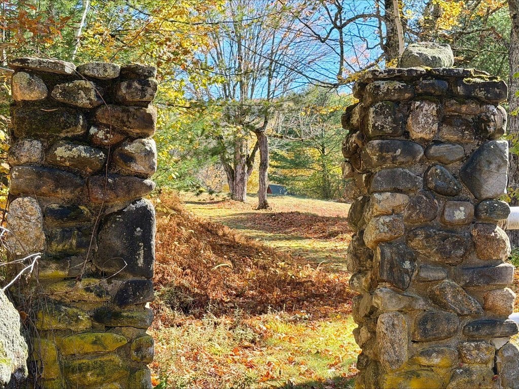 Picture 31