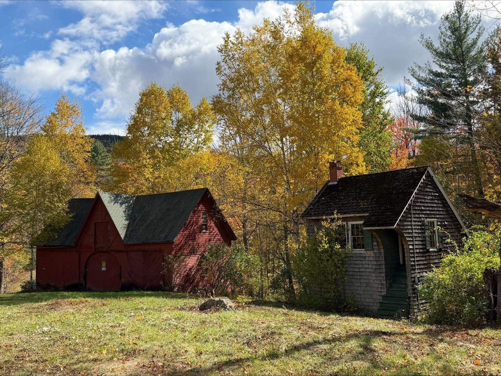 Picture 8