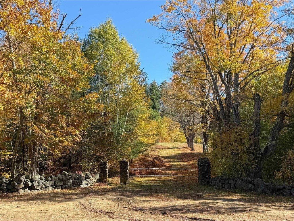 Picture 30