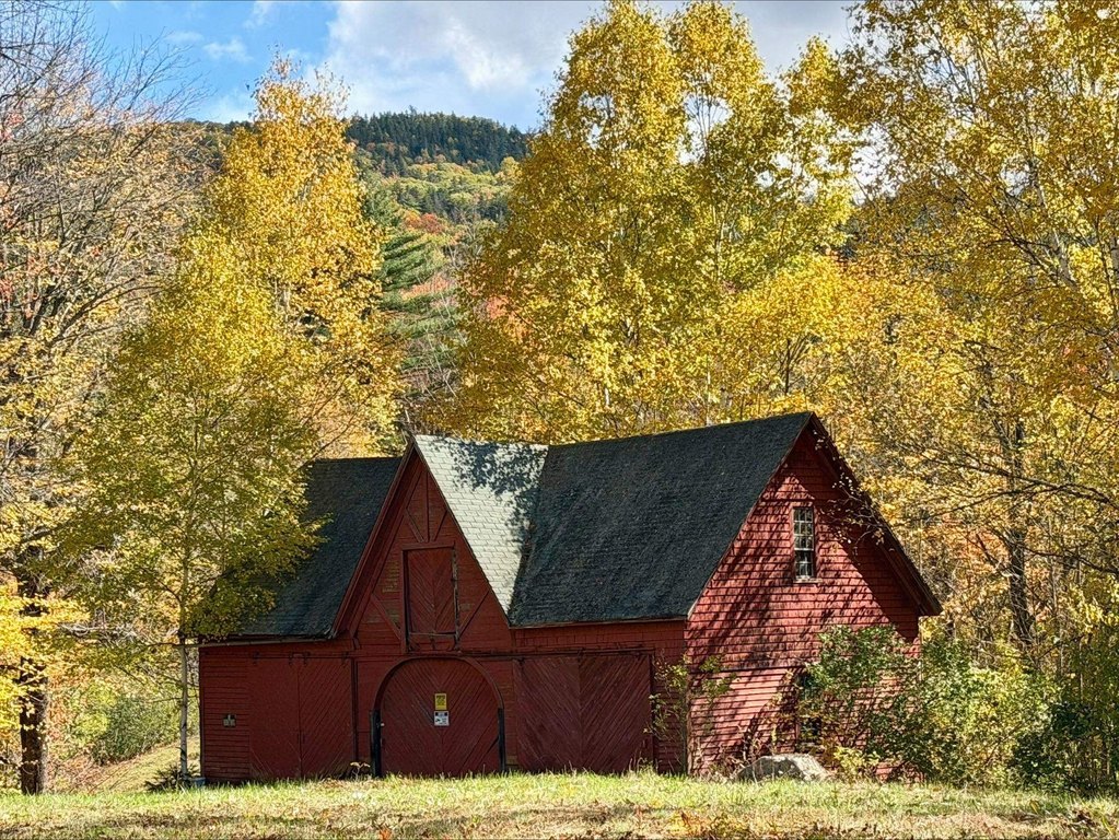 Picture 9