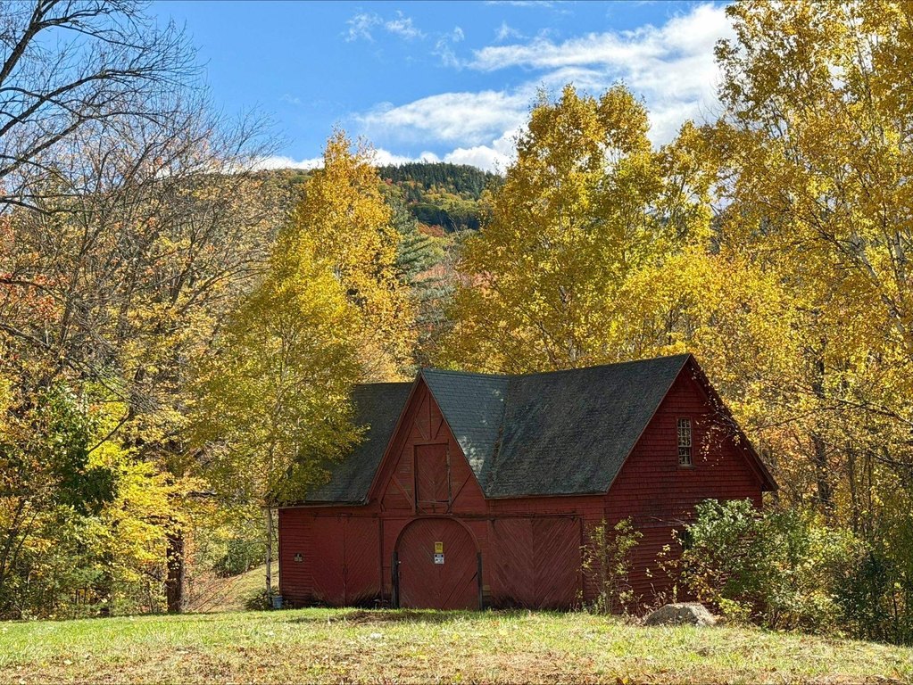 Picture 35