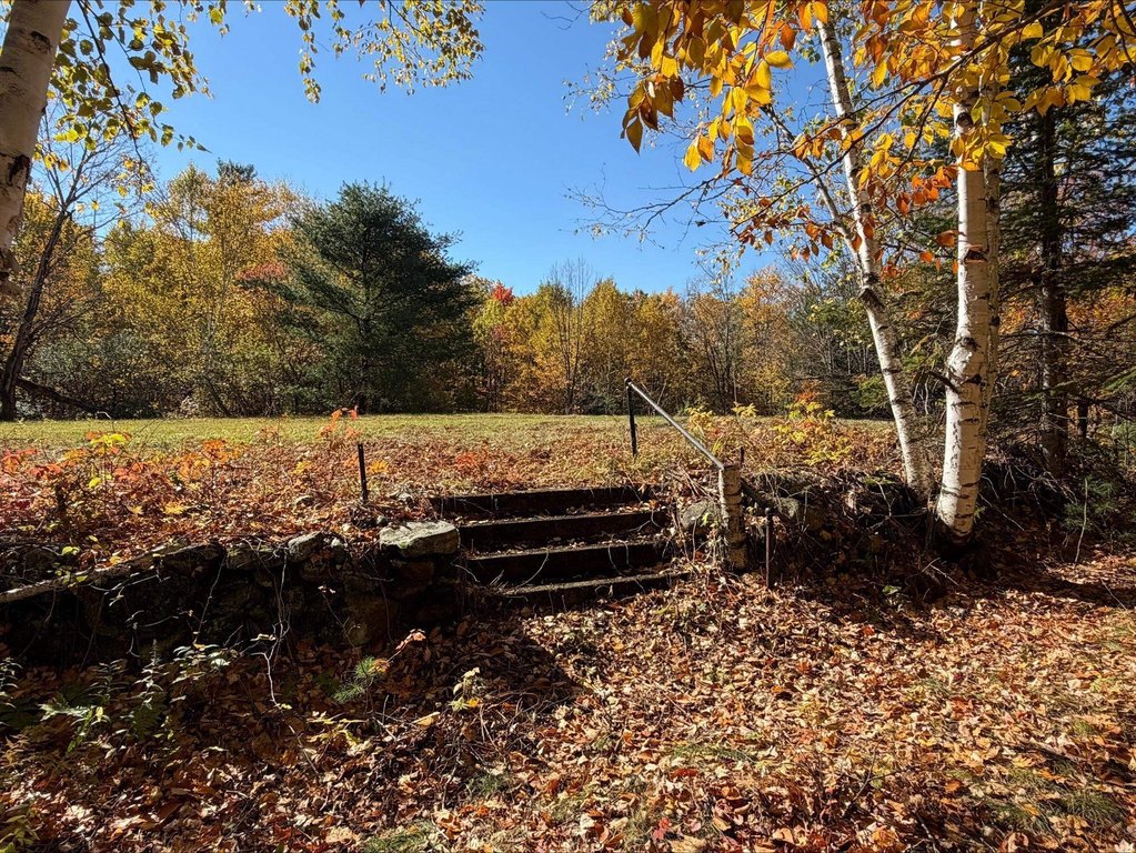 Picture 15