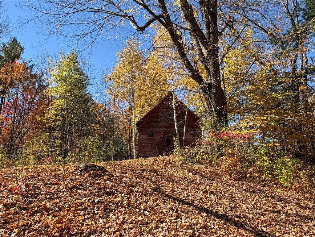 Picture 27