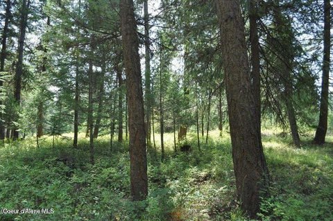Residential Golf Community Lot