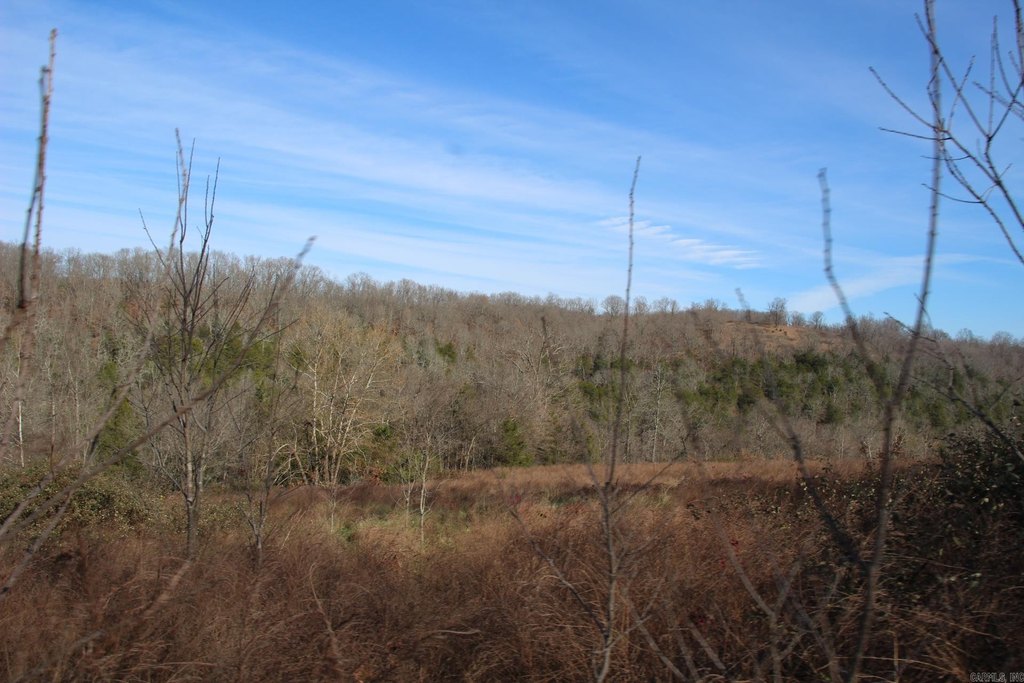 Picture 45